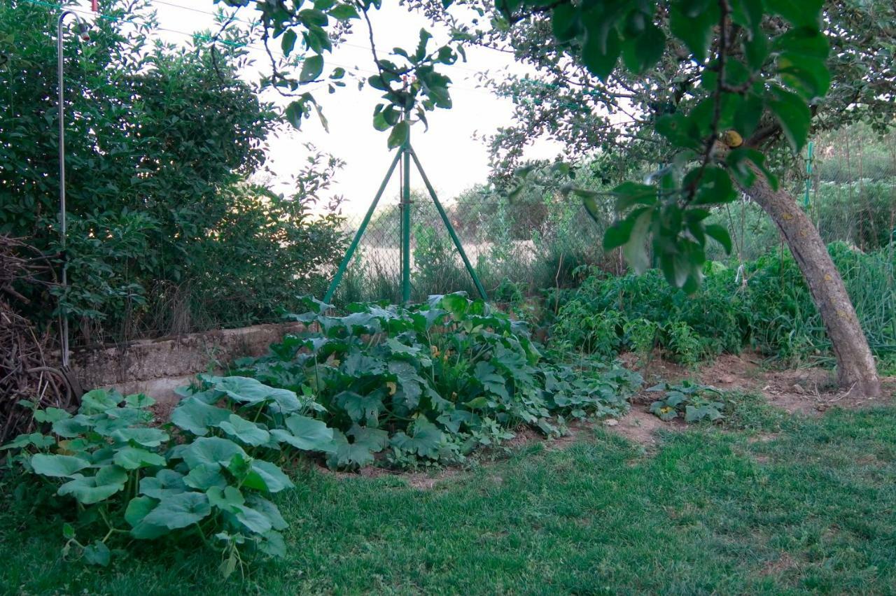 Santibanez del ValEl Jardin De Manuela别墅 外观 照片