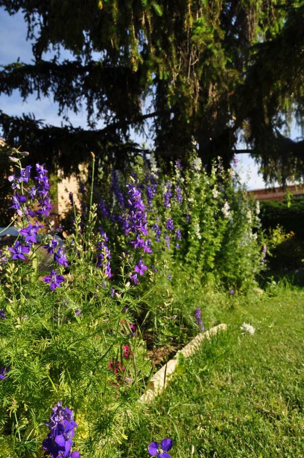 Santibanez del ValEl Jardin De Manuela别墅 外观 照片